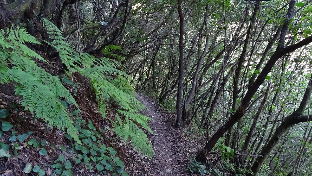 Aufstieg aus dem Barranco Magdalena