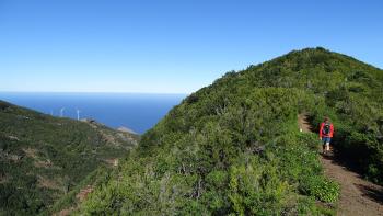 Blick zu den Windrädern von Juan Adalid