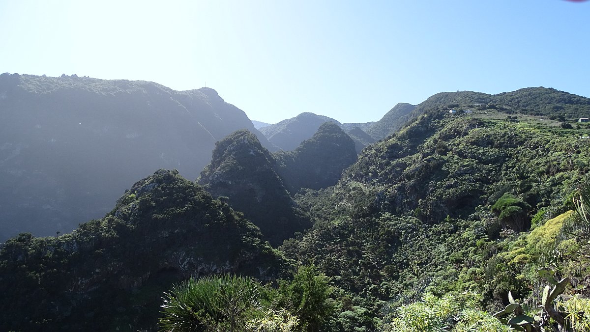 Blick den Barranco Fagundo hinauf