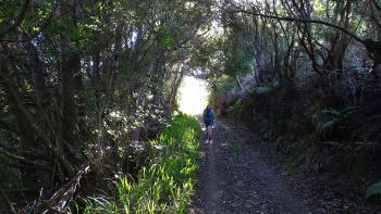 wandern wie im Tunnel