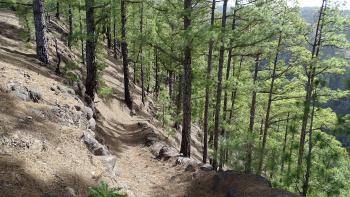 Zum Grund des Barranco de Izcagua