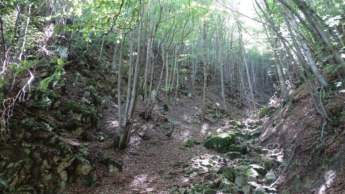 Passo di Teglia 