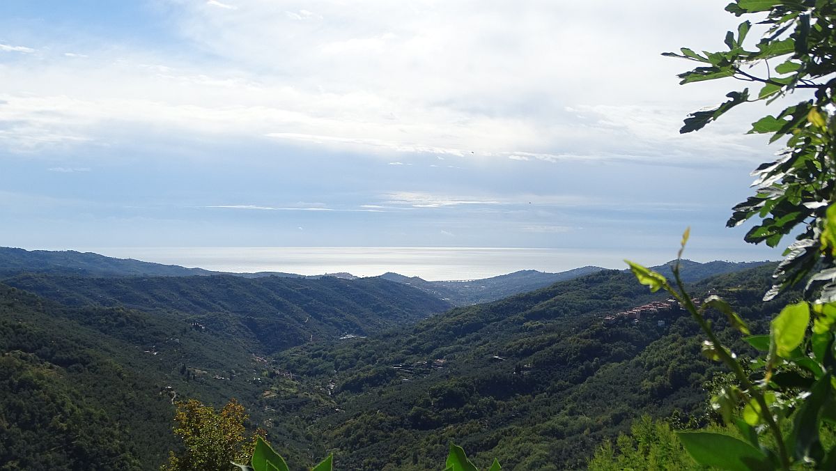 Blick zur Küste