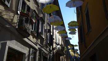 Arona