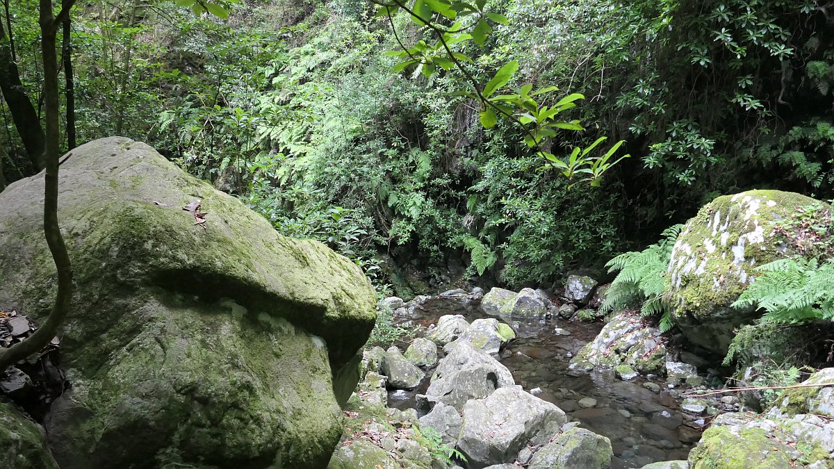 Ribeiro Bonito