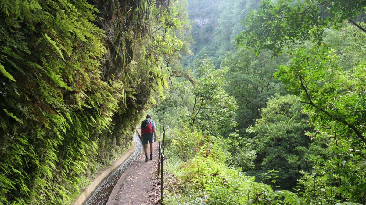 Rückweg entlang der Levada do Rei