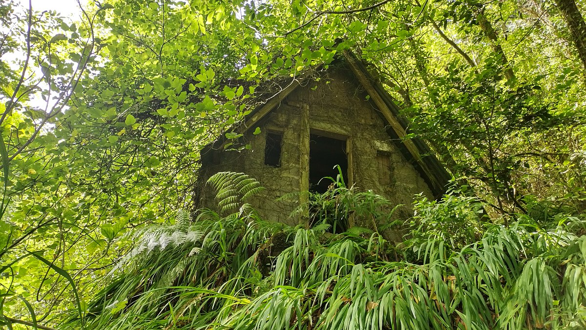 eingewachsenes Haus (mit Geocache)