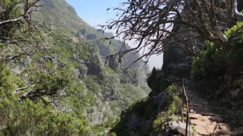 ein Stück in Richtung Pico do Arieiro