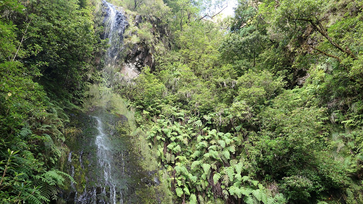 kleiner Wasserfall am Wegesrand