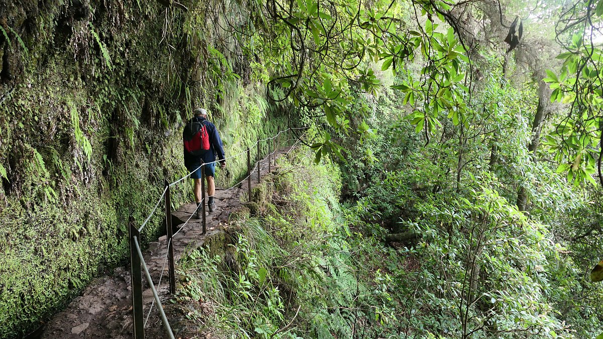 Levada