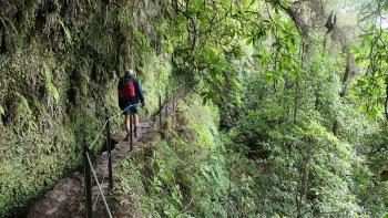 Levada