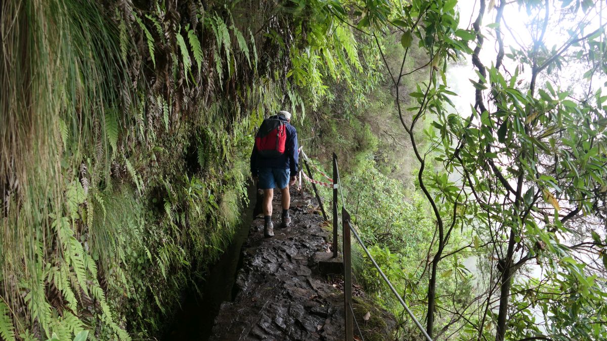 Levada