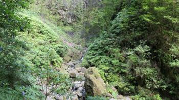 Caldeirão Verde