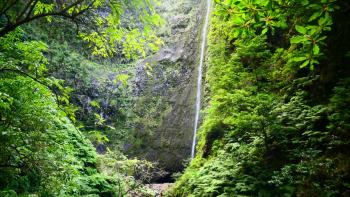 Wasserfall am Caldeirão Verde