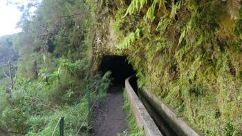 Levada