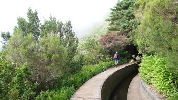 breiter Levada-Weg