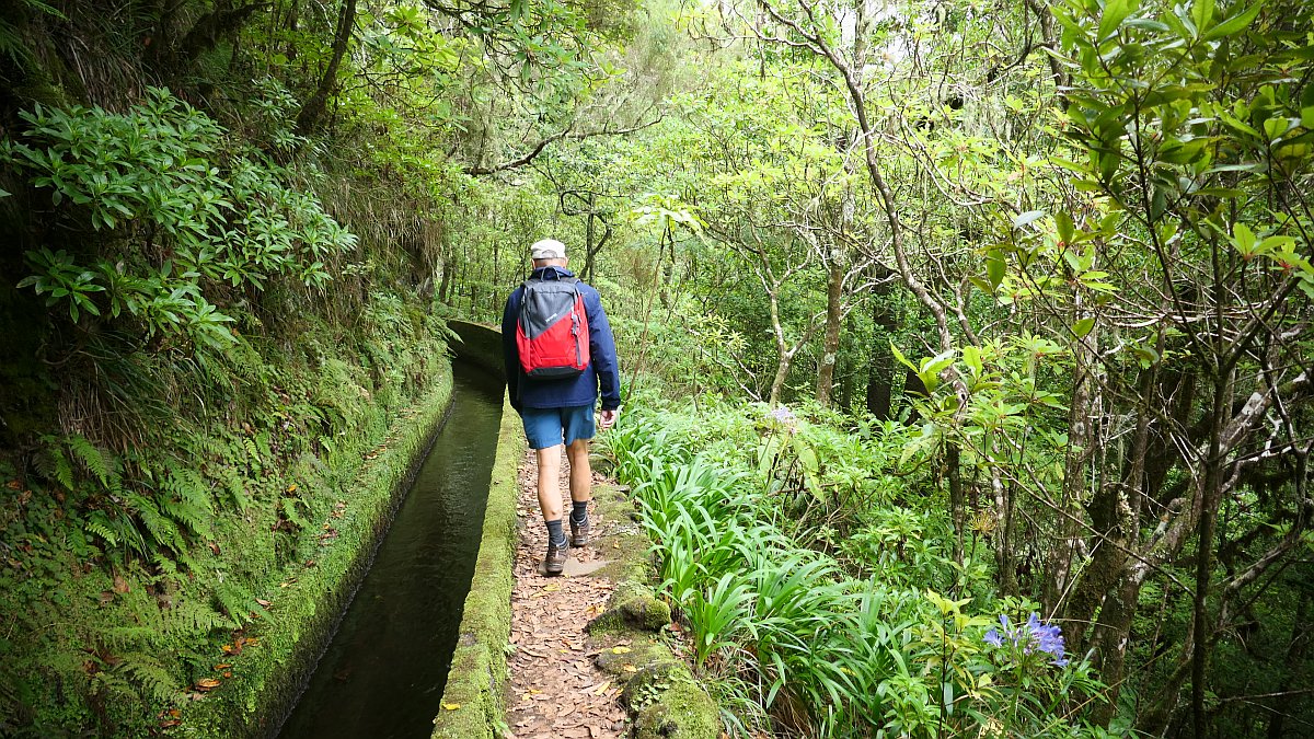 Levada