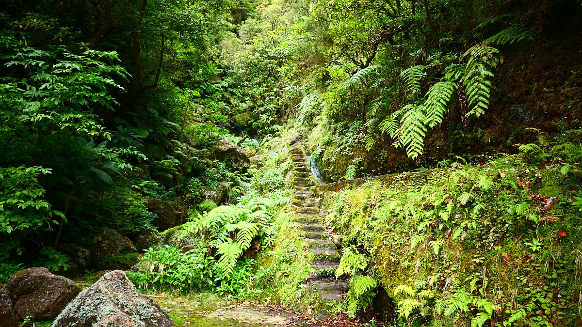 grüne Treppe