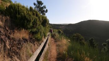 Levada da Bica da Cana