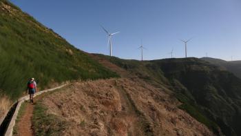 Levada da Bica da Cana