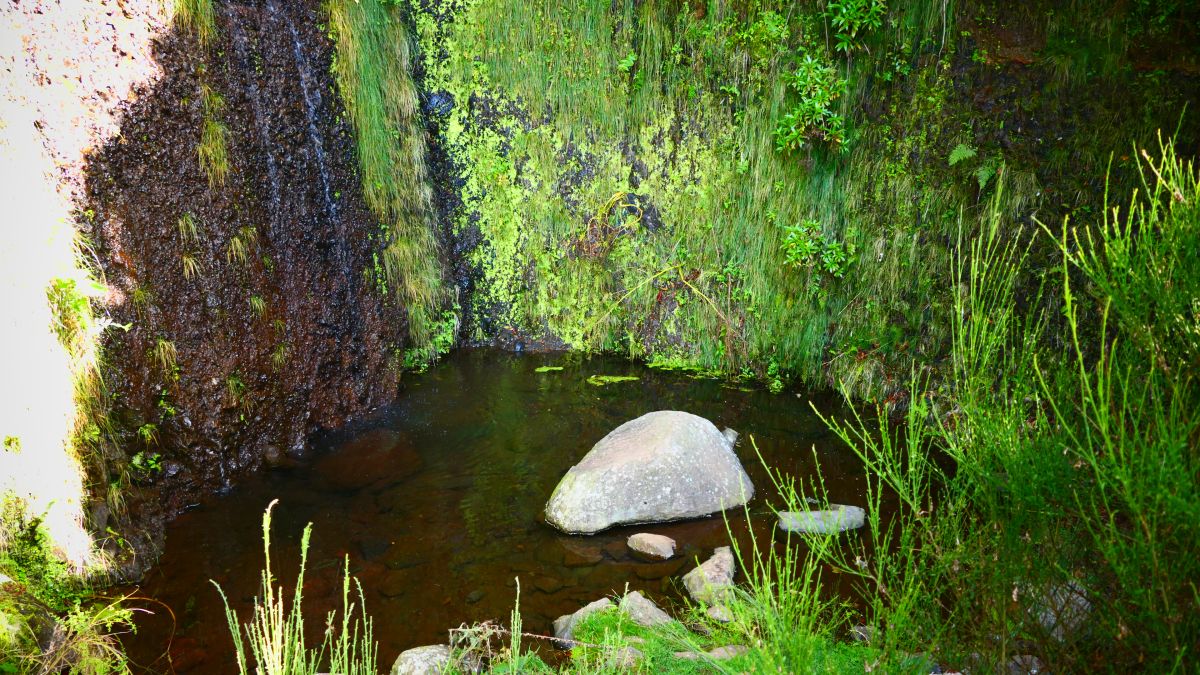 Beginn der Levada da Bica da Cana