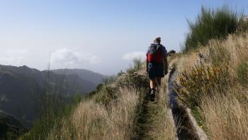 Levada da Bica da Cana