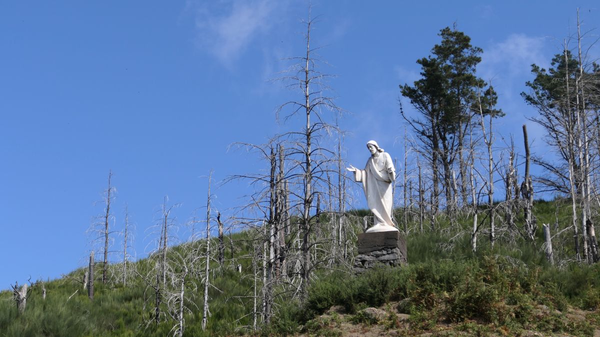 Rest des Waldbrandes mit Jesusstatue