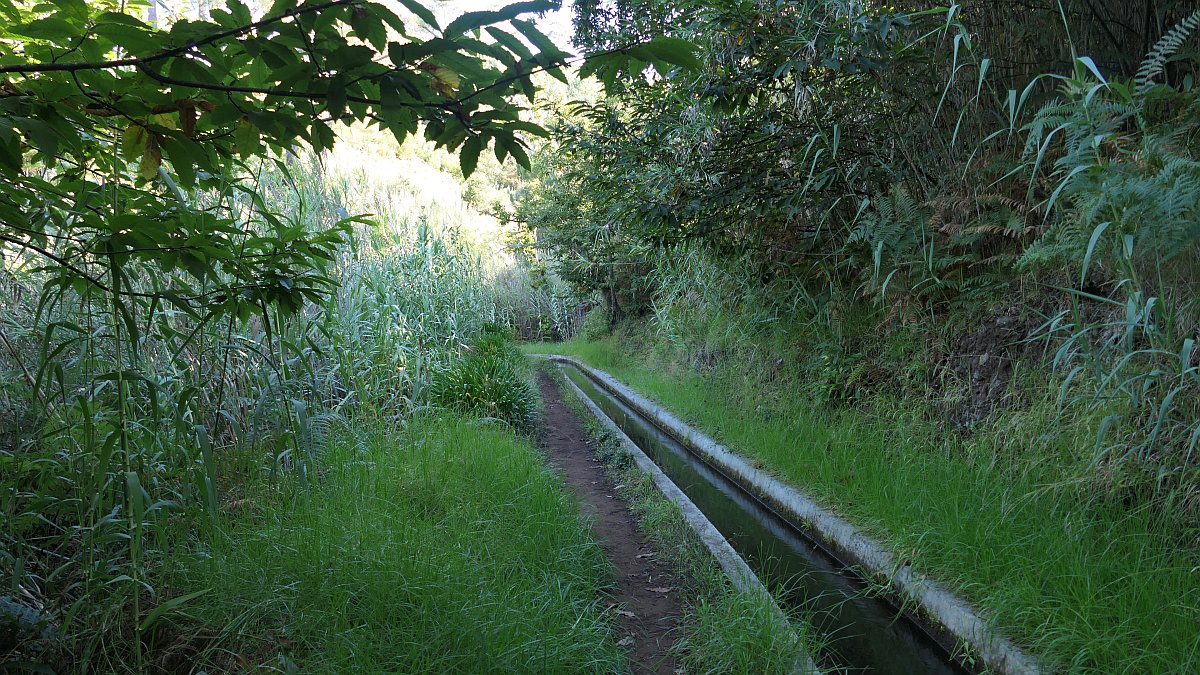 Levada Nova da Calheta