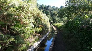 Levada Nova da Calheta