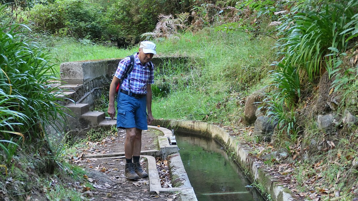 Levada Nova da Calheta