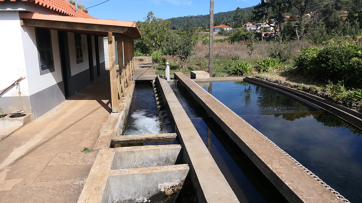 Verteilanlage an der Levada Nova da Calheta