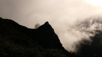 wabernde Wolken auf 1.200 Meter Höhe