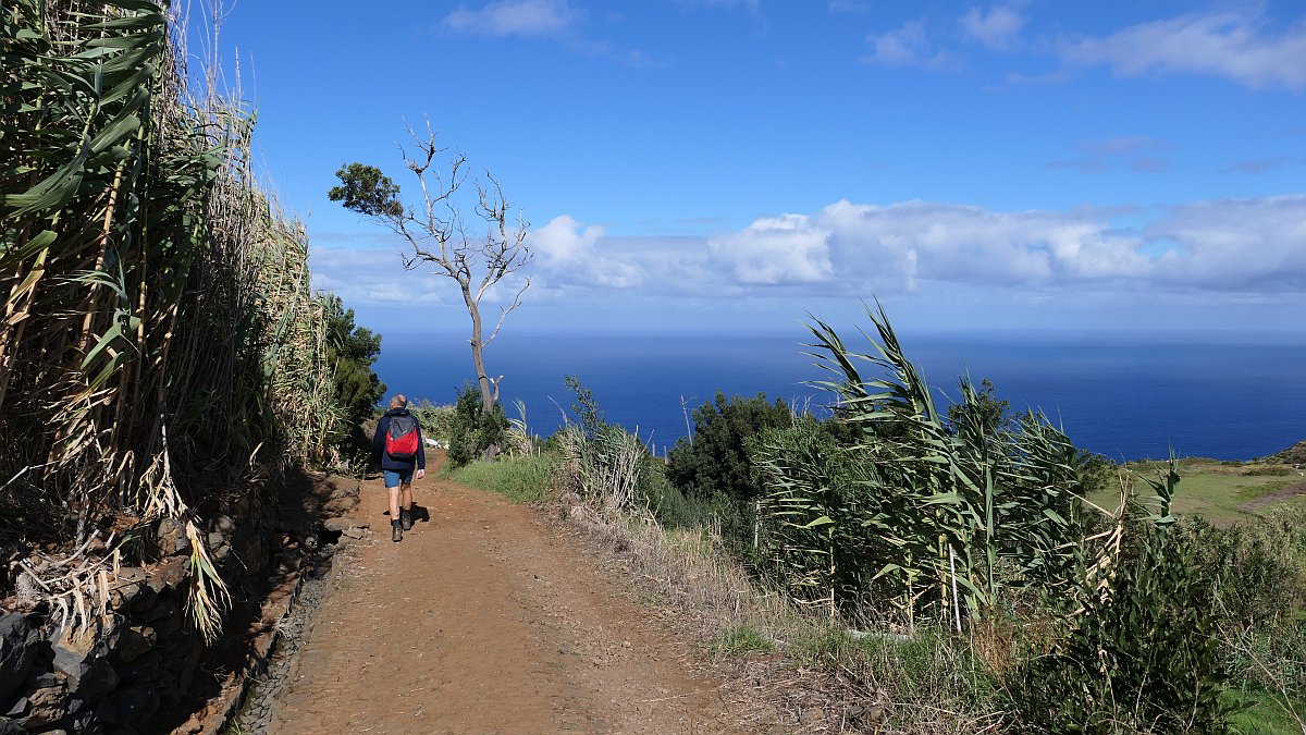 Ponta do Pargo, Weg zum Miradouro da Garganta Funda