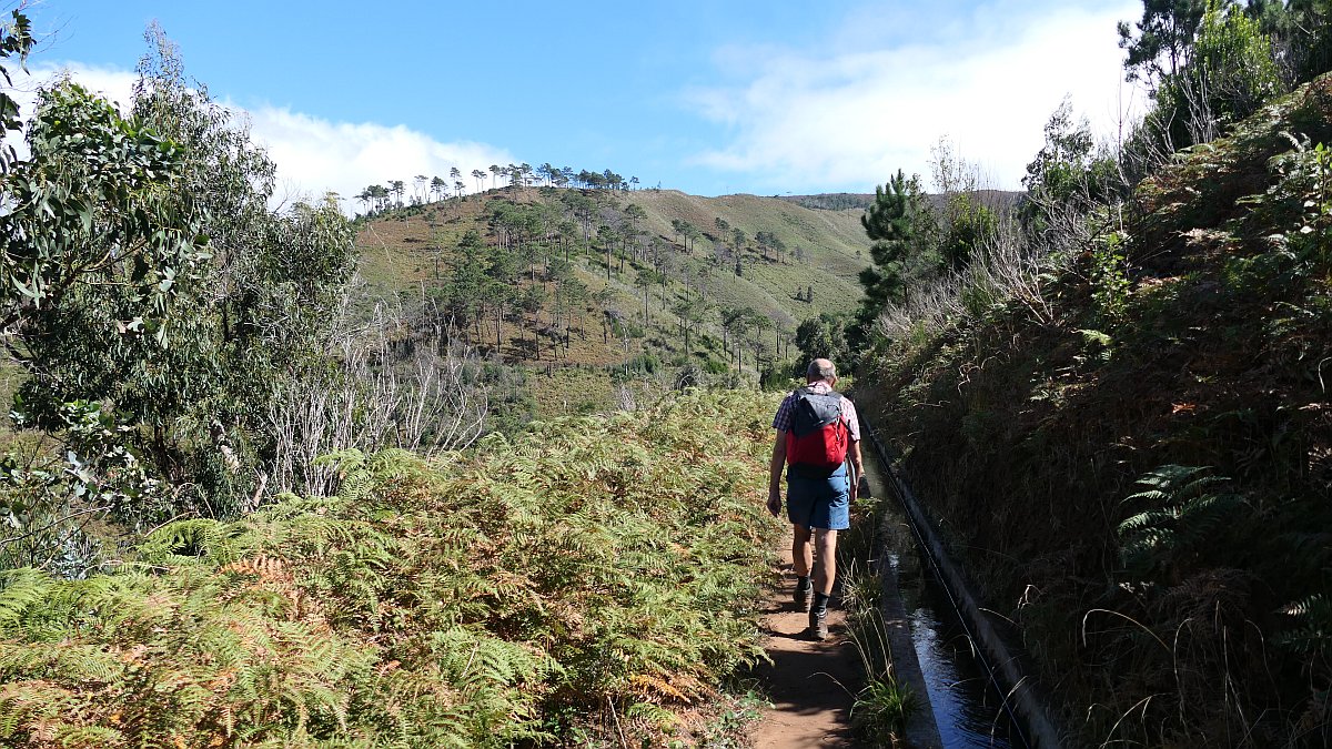 Levada Nova