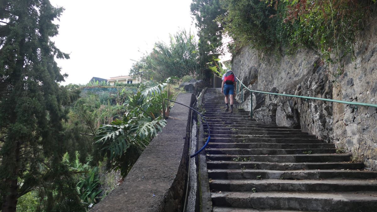 erste Treppen nach oben