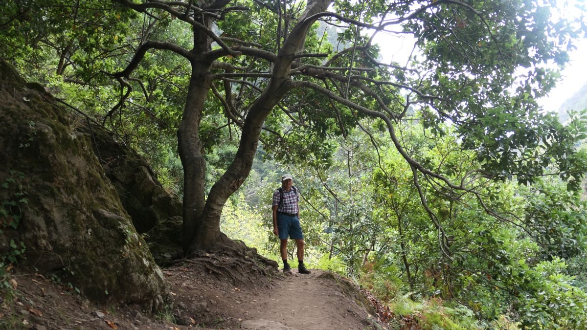 verschwundene Levada