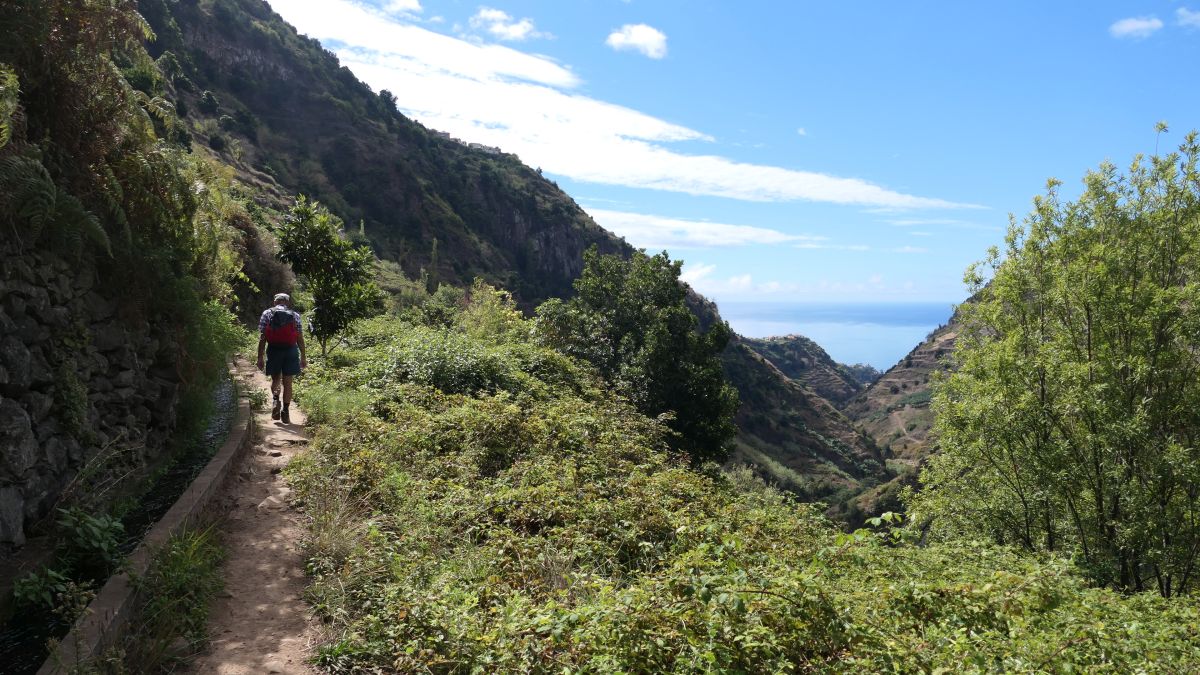 Levada do Moinho