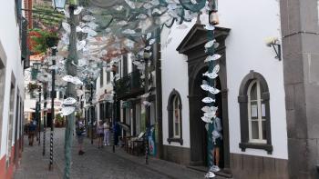 Fisch gibt es noch, auf den Tellern der Restaurants und als Straßenschmuck