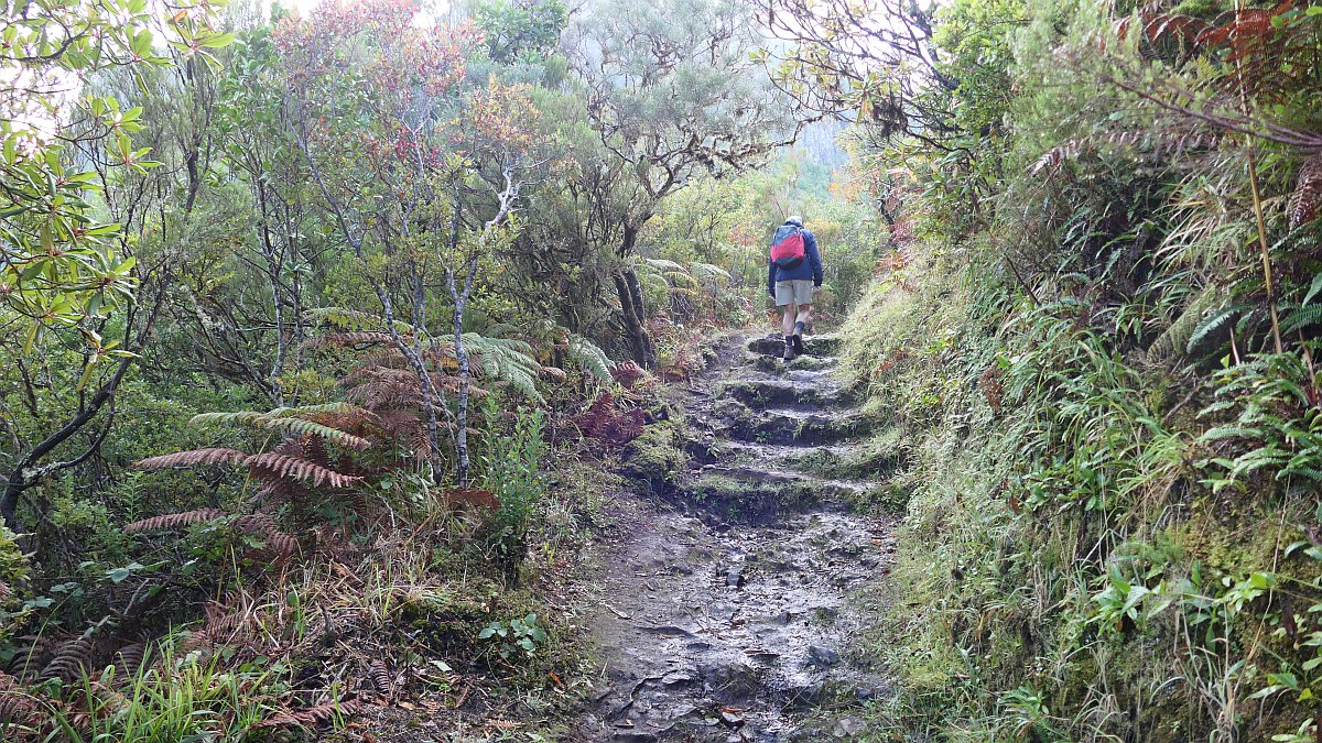 endlose Treppenwege