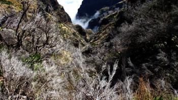 Pico Ruivo - Pico do Arieiro 