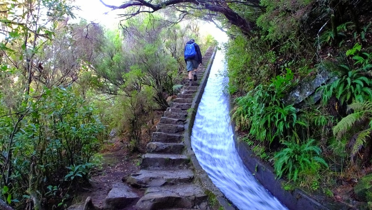 herabrauschende Levada