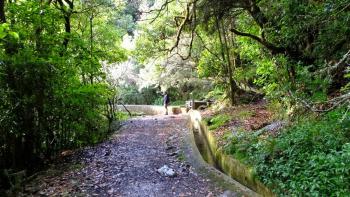 Levada do Poco do Bezerro - die Sonne kommt wieder raus