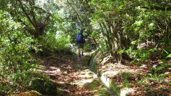 Levada do furado