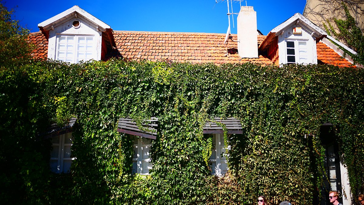 begrüntes Haus in Cascais