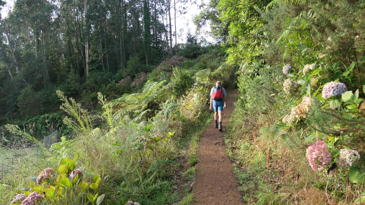 Beginn der Wanderung, entlang der Levada do Rei