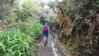 entlang der Levada do Rei