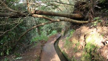 entlang der Levada do Rei