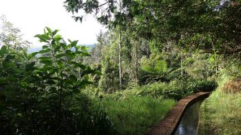 entlang der Levada do Rei