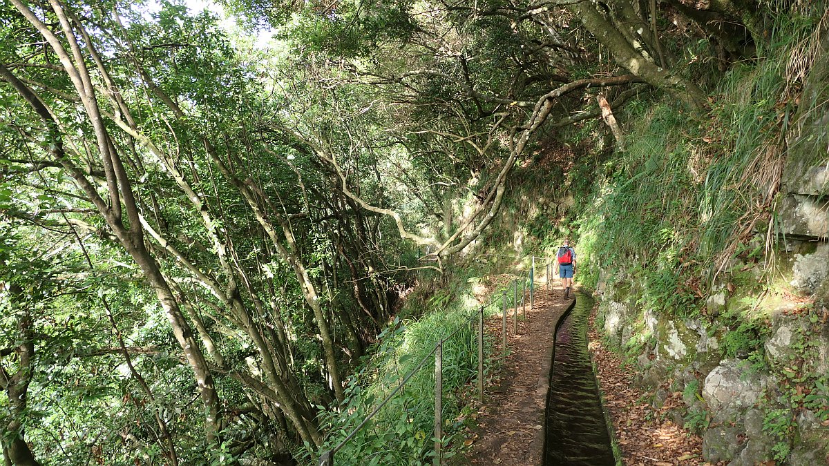 entlang der Levada do Rei