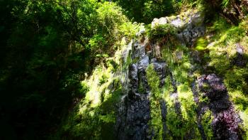 Miniwasserfall